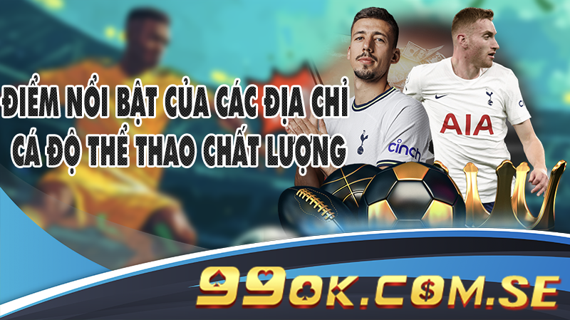 Điểm nổi bật của các địa chỉ cá độ thể thao chất lượng