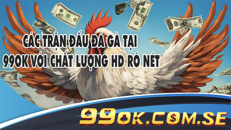 Hình ảnh trực tiếp từ các trận đấu đá gà tại 99OK với chất lượng HD rõ nét.