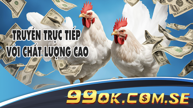 Những trận đấu giữa các chiến kê hàng đầu, truyền trực tiếp với chất lượng cao.