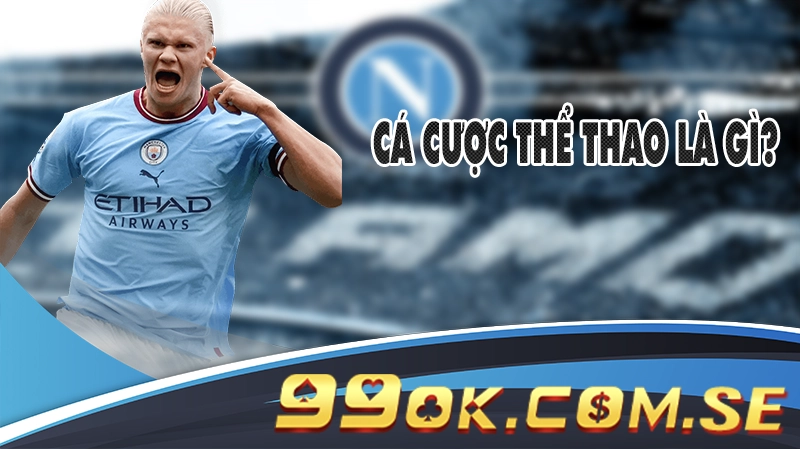 Cá Cược Thể Thao Là Gì